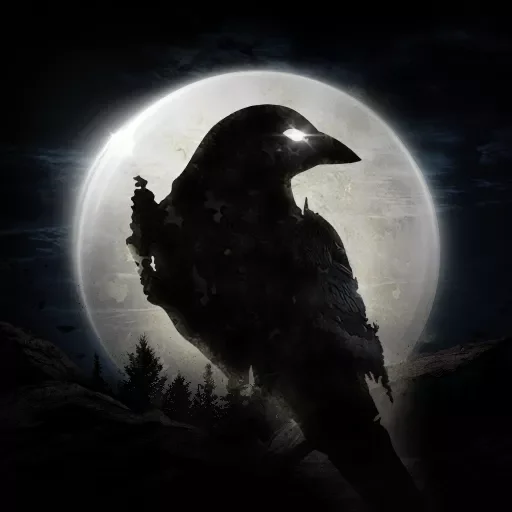 NIGHT-CROWS夜鴉 代儲值